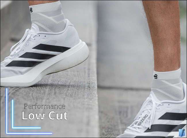 Performance Low Cut Socks